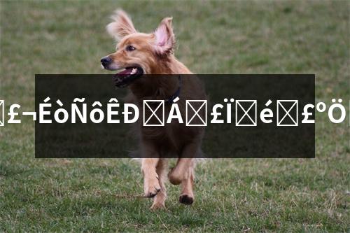 ���(y��ng)���t(y��)�����U(xi��n)��ԃ�����(y��ng)���t(y��)�����U(xi��n)��ԃ���ǻ��t(y��)������ݷ���(w��)